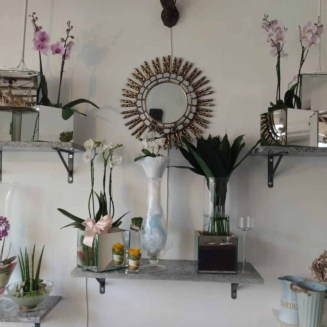 Orchidee bianche e rosa esposte su mensole, con specchio a raggiera