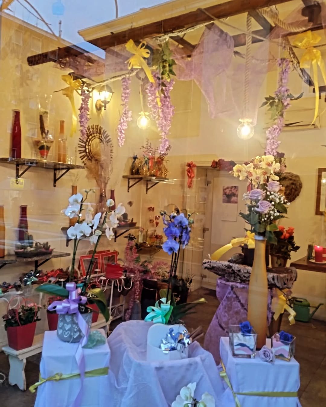 Interno del negozio con orchidee, glicine e decorazioni sospese